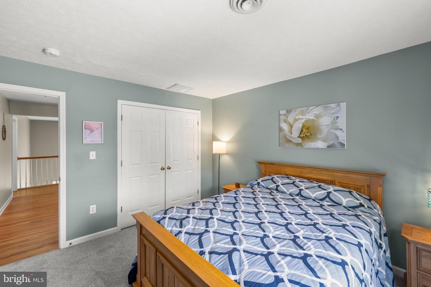 103 Boydton Plank Drive photo 47