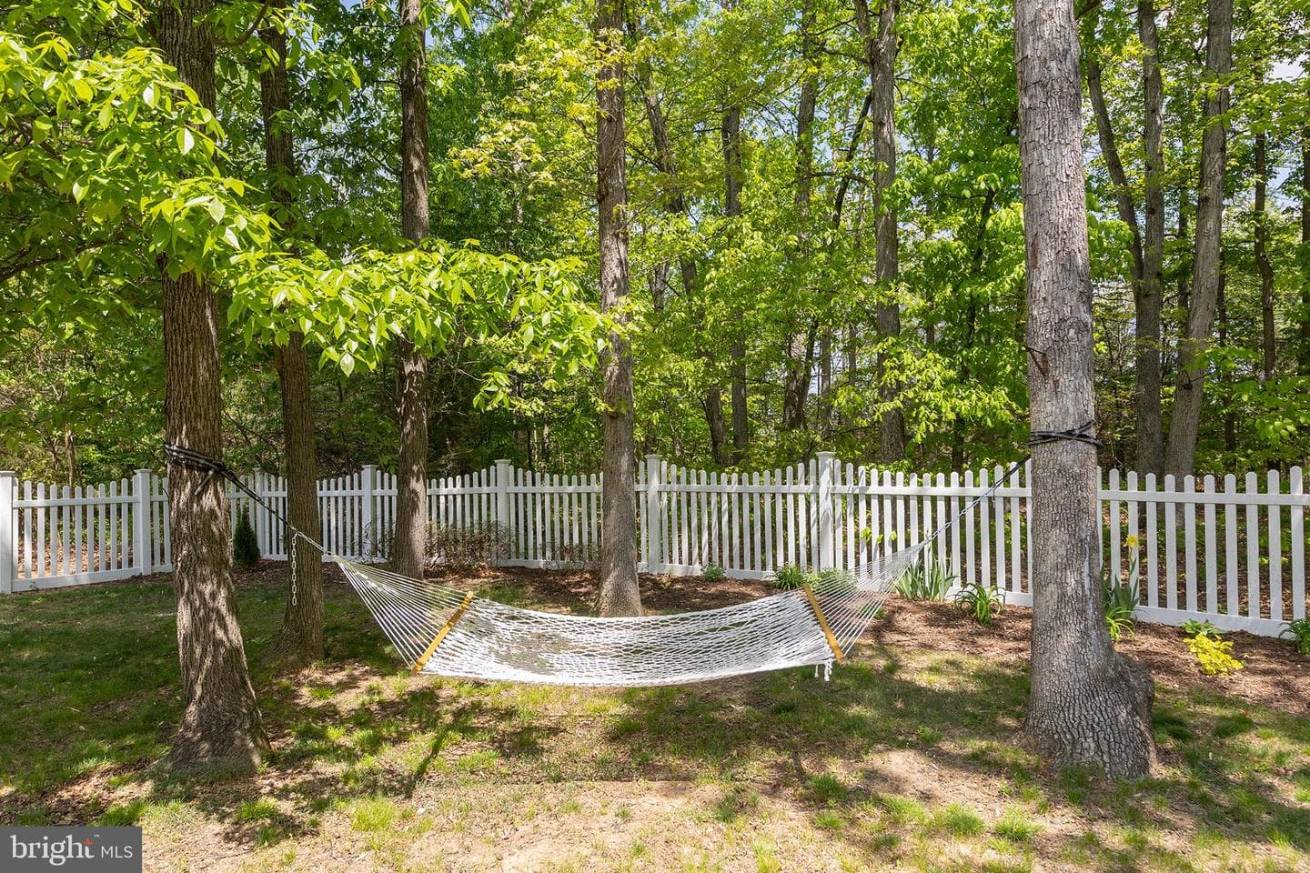 103 Boydton Plank Drive photo 60