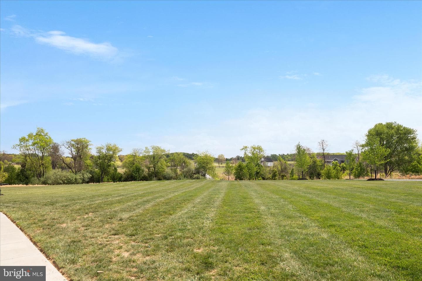 1015 Redbud photo 36