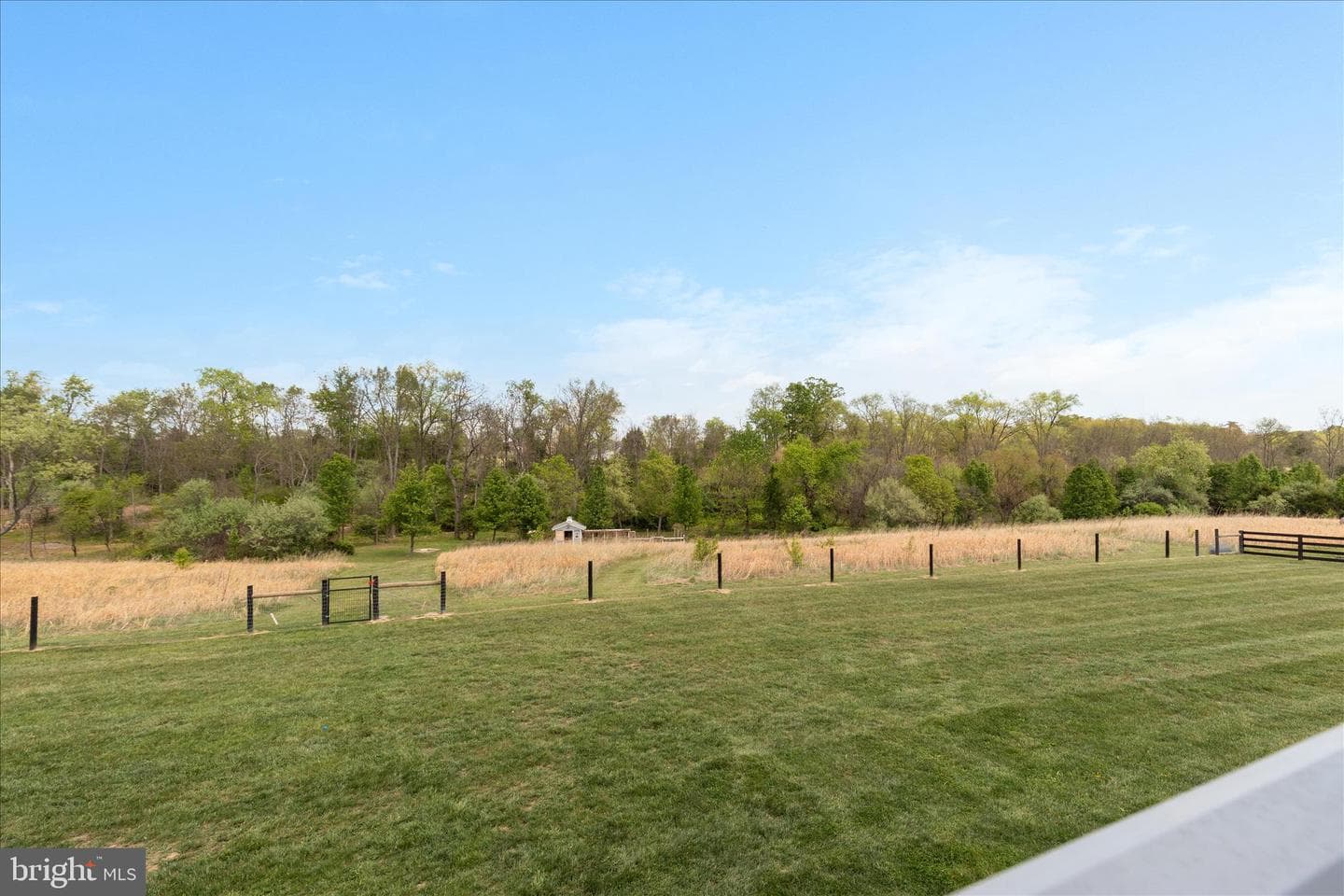 1015 Redbud photo 40