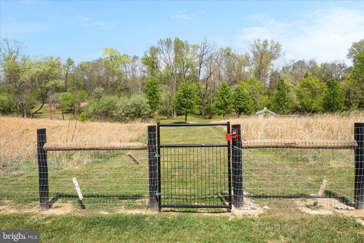 1015 Redbud photo 52