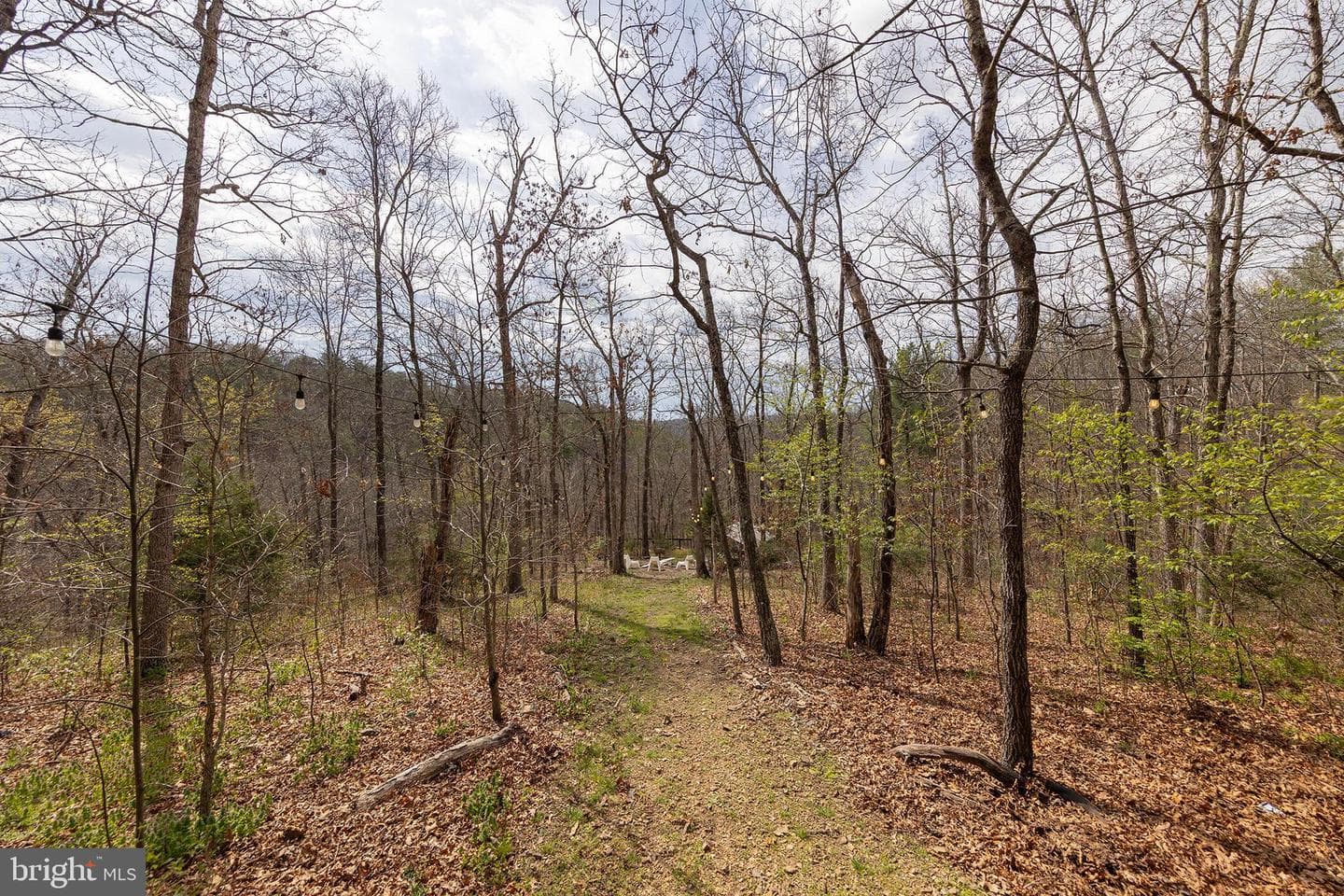 448 Adams Road photo 39