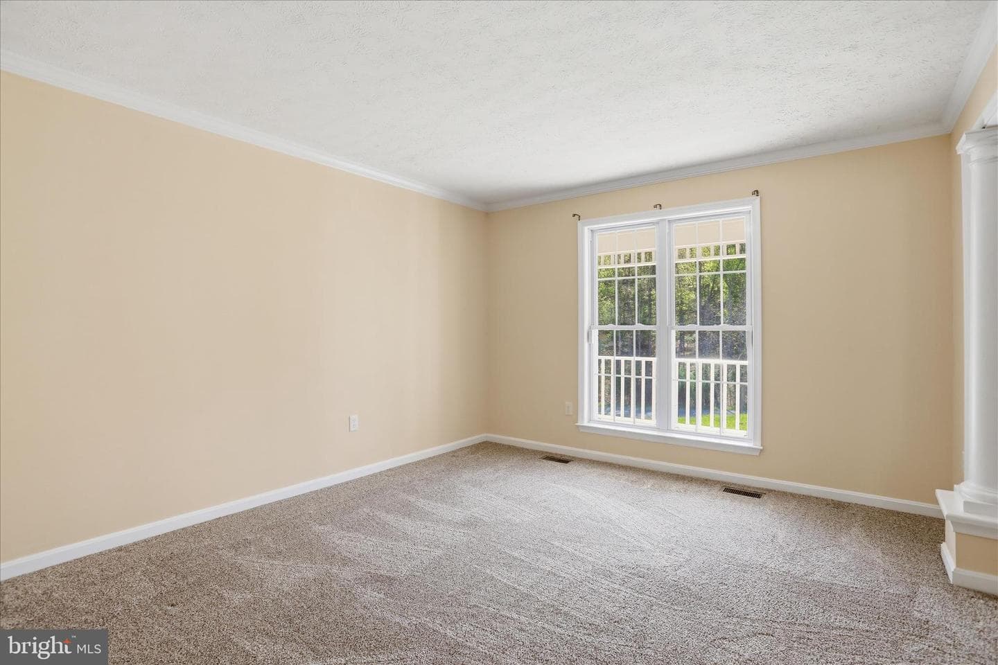293 Skylar Lanes Way photo 19