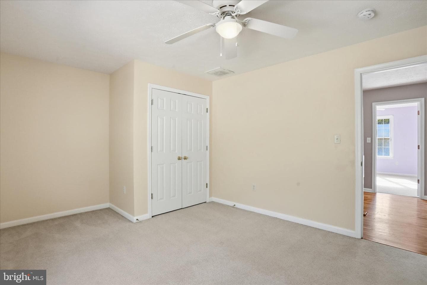 293 Skylar Lanes Way photo 39