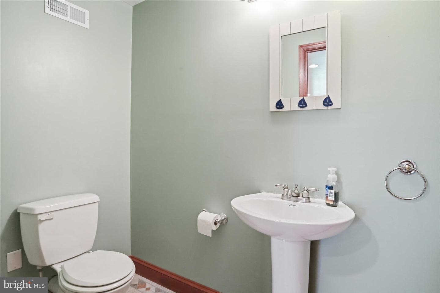 293 Skylar Lanes Way photo 52
