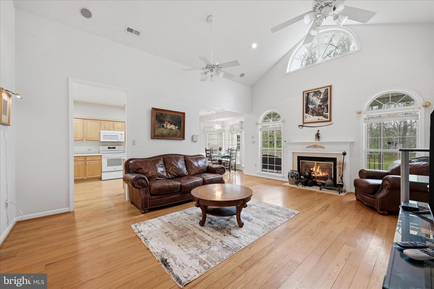 294 Green Spring Drive photo 19