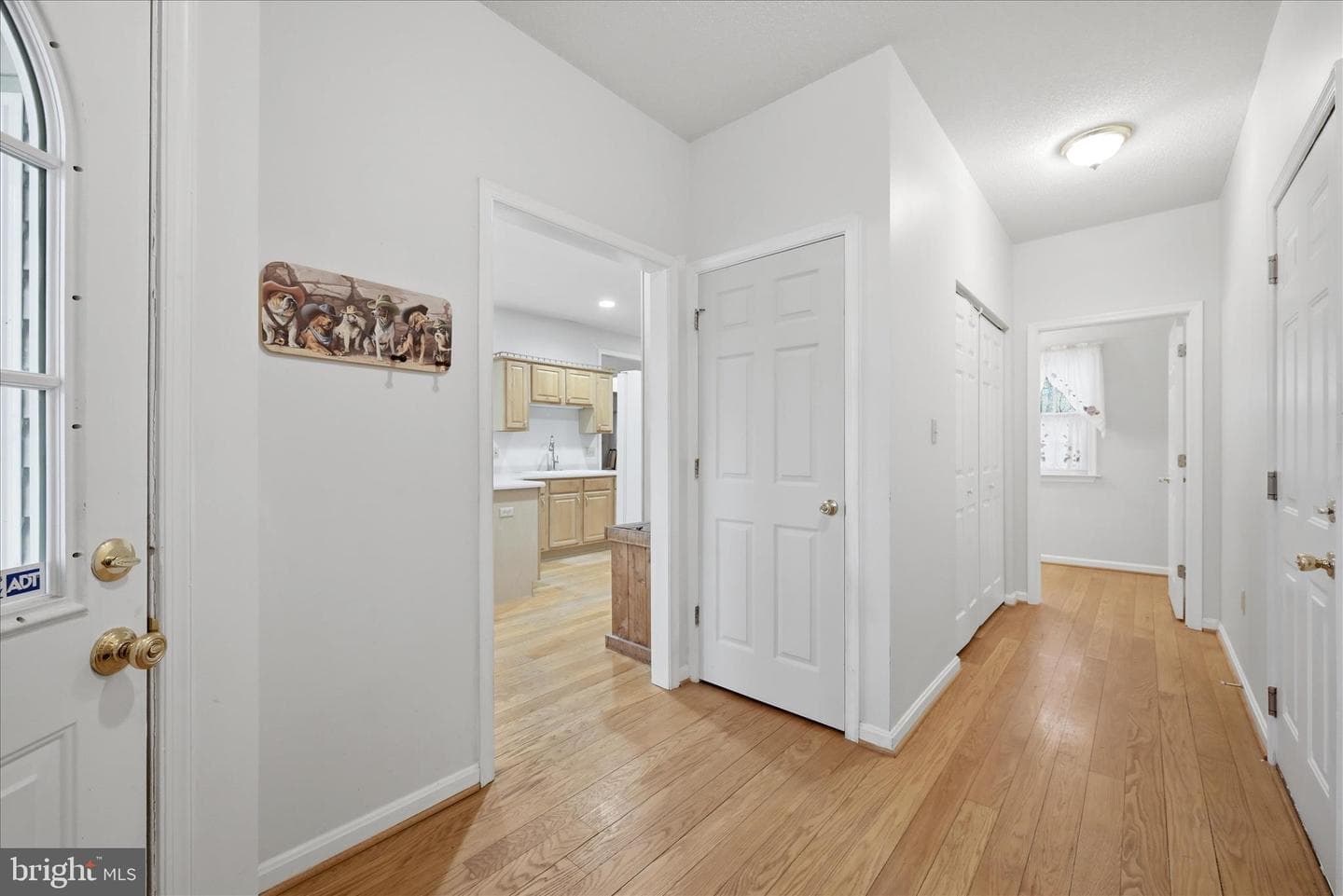 294 Green Spring Drive photo 29