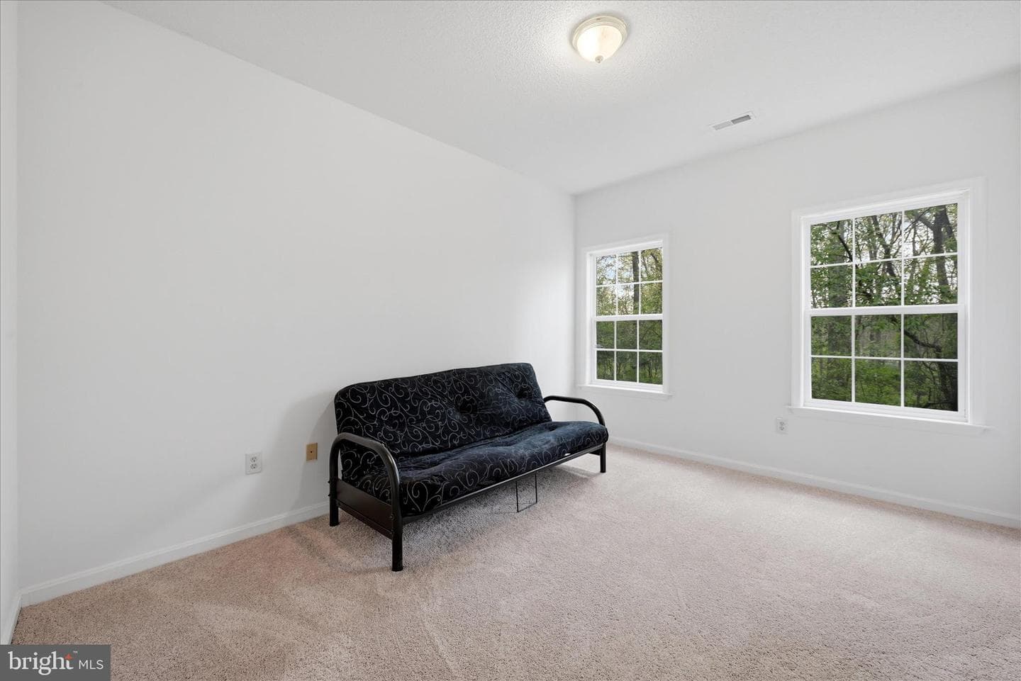 294 Green Spring Drive photo 35