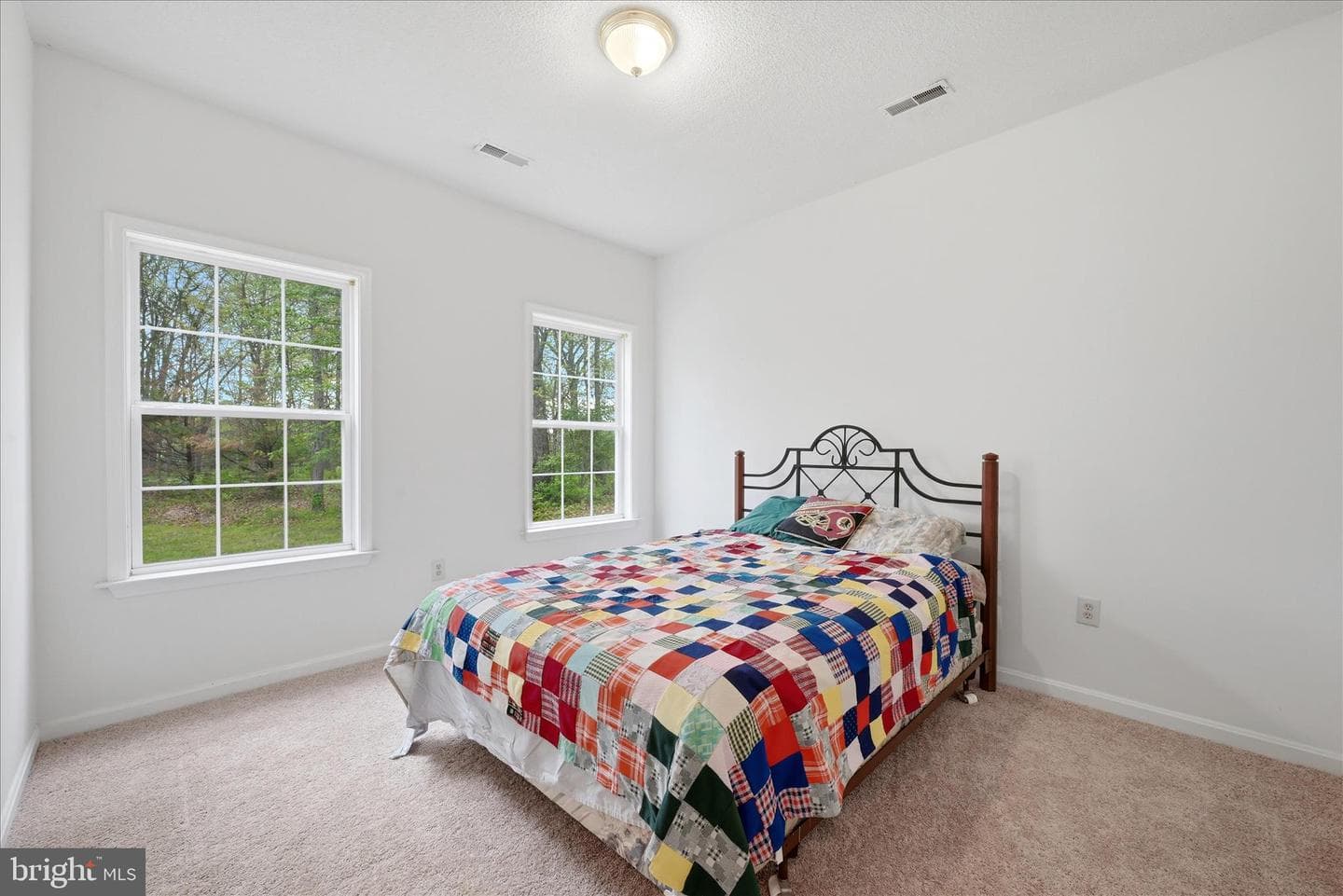 294 Green Spring Drive photo 38
