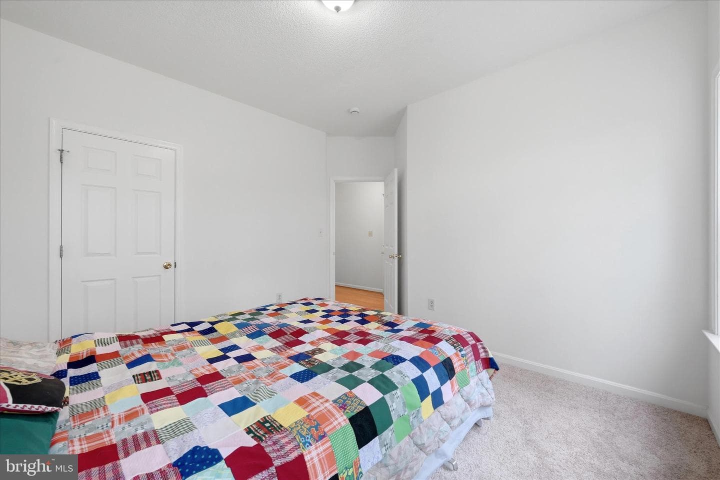 294 Green Spring Drive photo 39