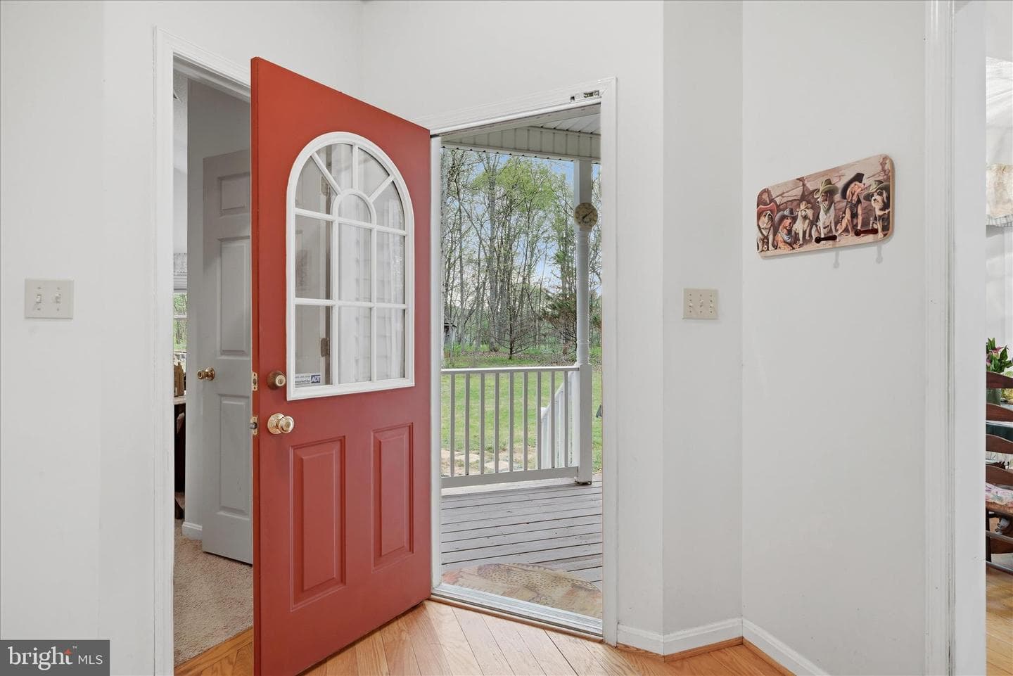 294 Green Spring Drive photo 44