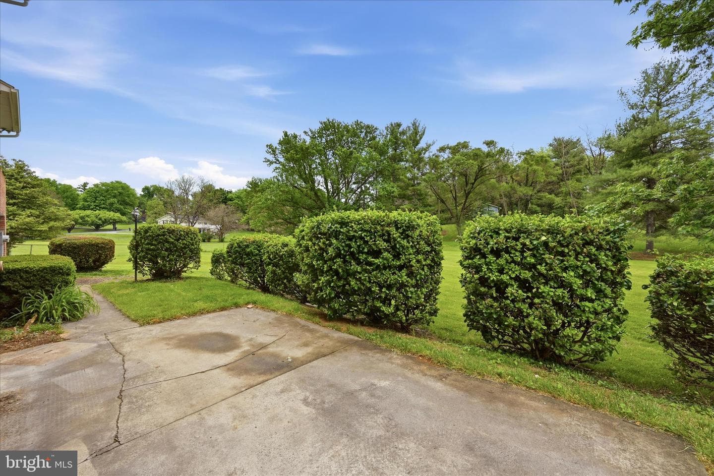 103 Cambridge Place photo 52