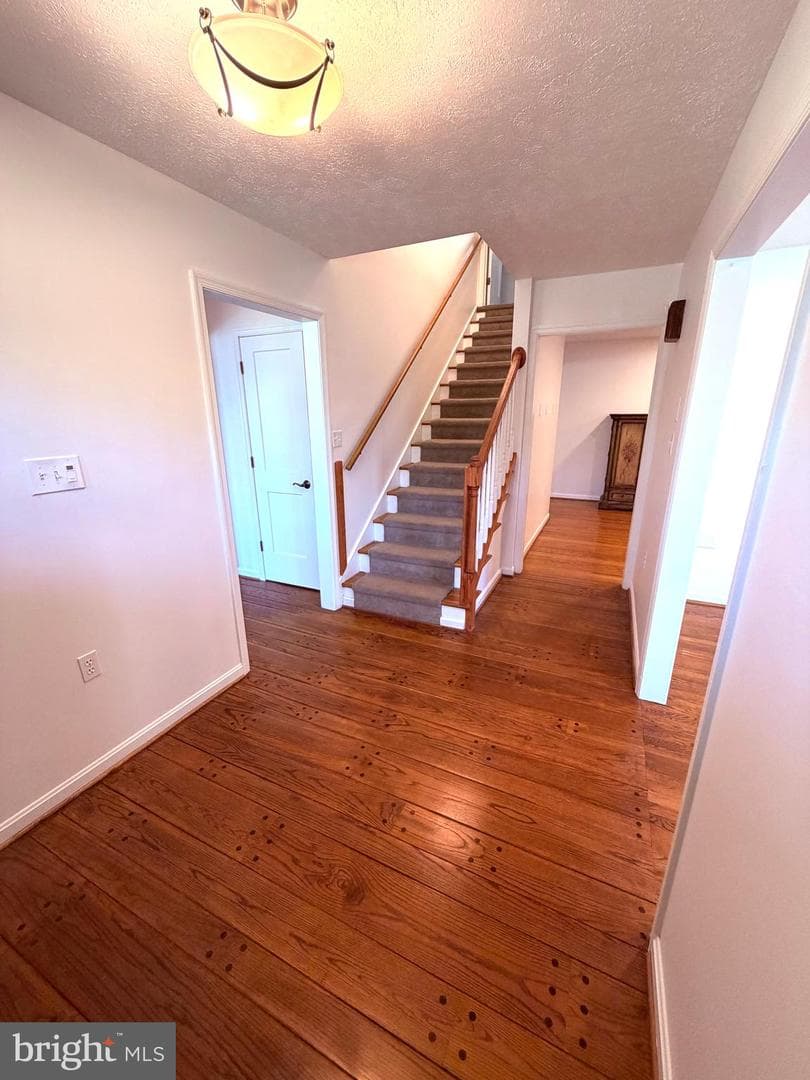 405 Spring Valley Drive photo 18