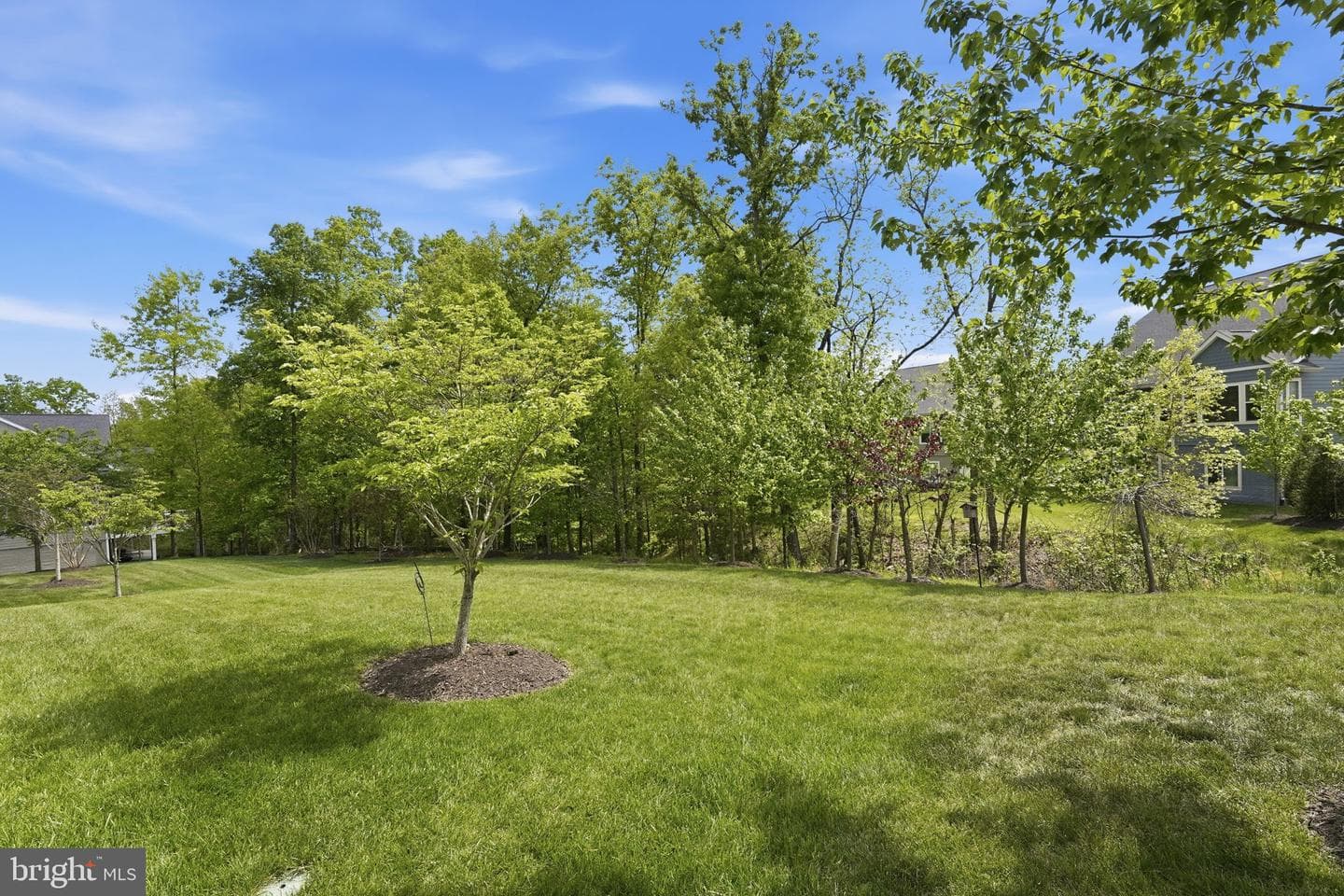 102 Peregrine Court photo 16