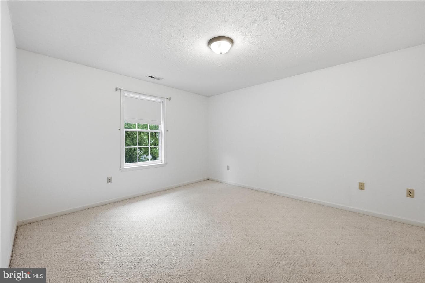 237 Asbury Road photo 23