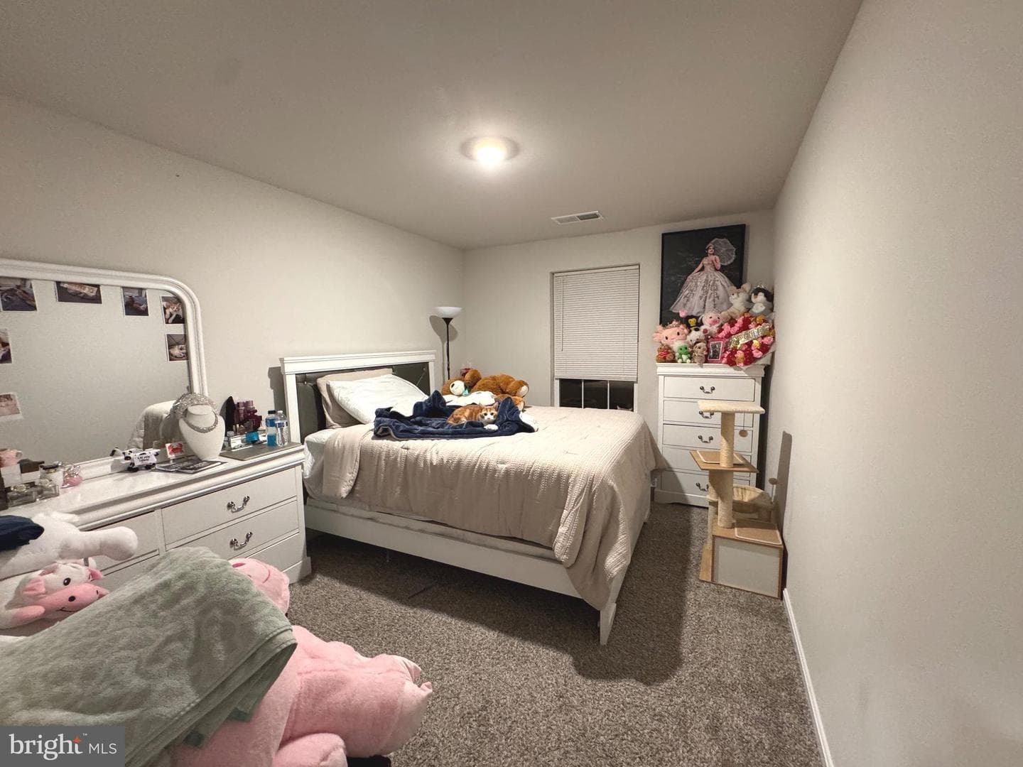 187 Schyrock Drive photo 19