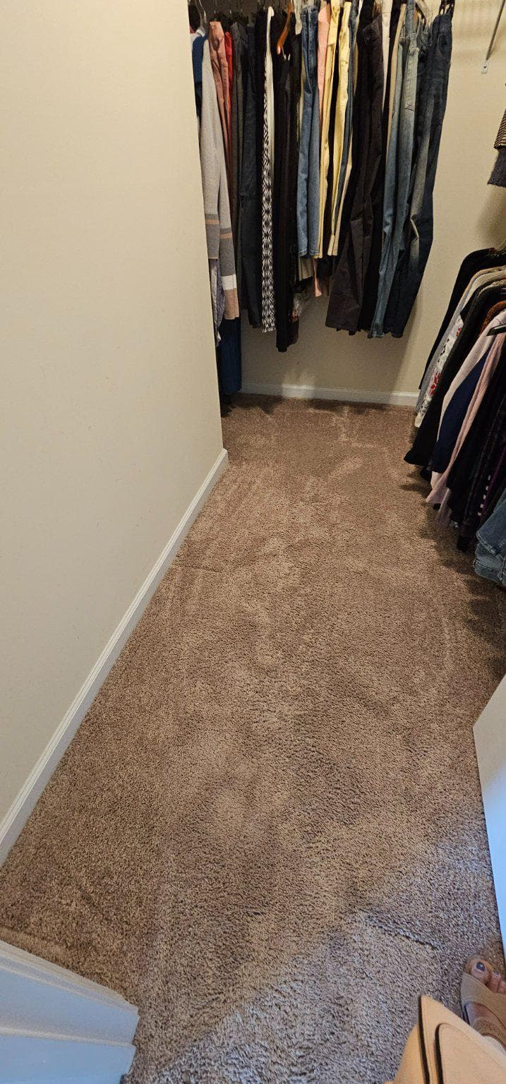 115 Brockham Court photo 33