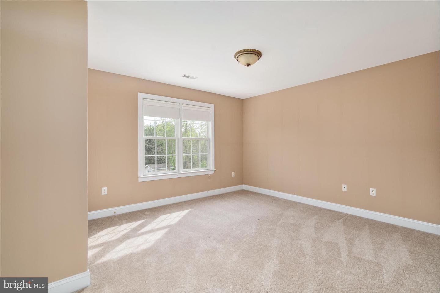106 Doolin Avenue photo 40