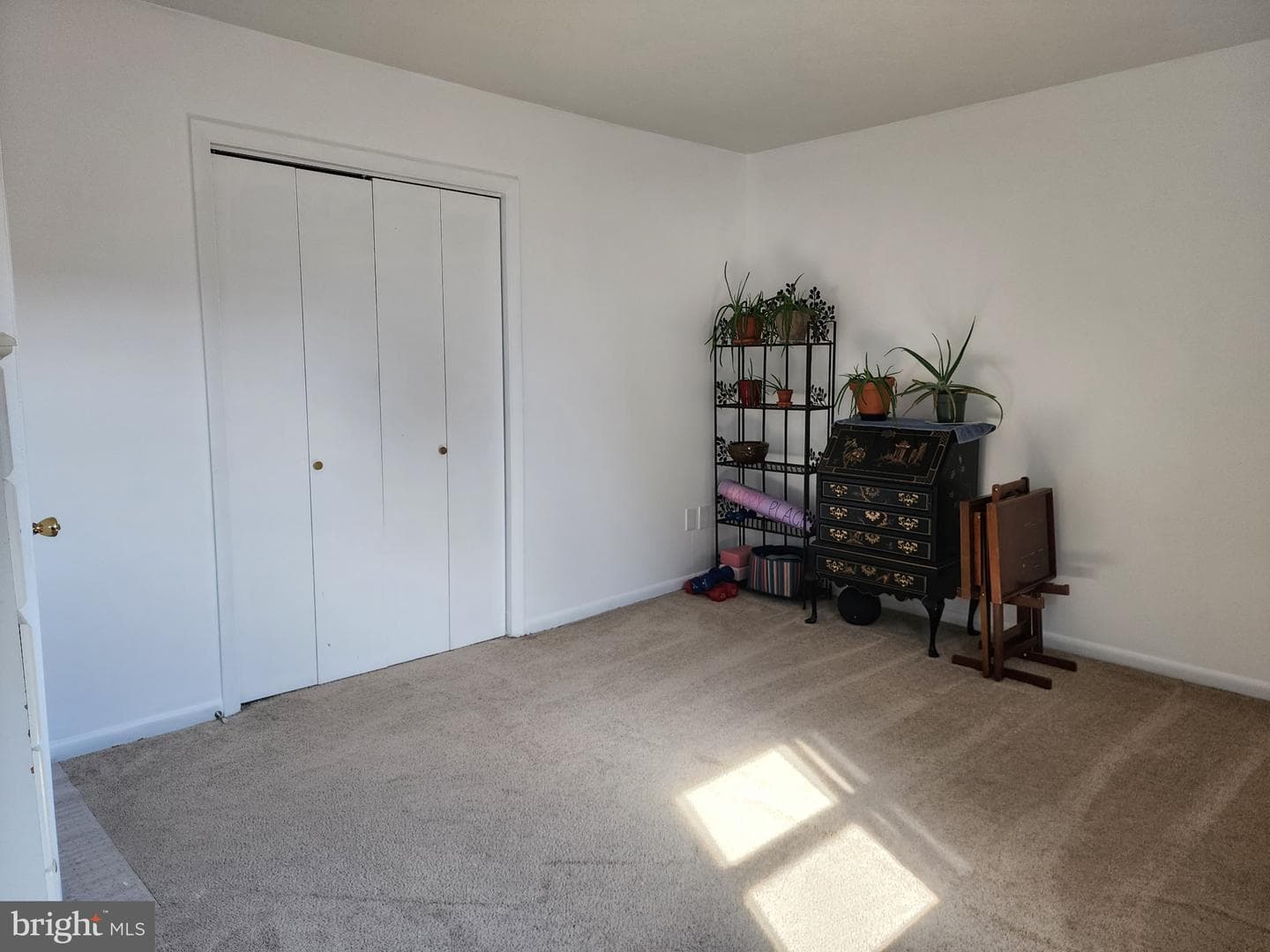 243 Brunswick Road photo 19