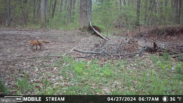 148 Arklow Drive photo 67
