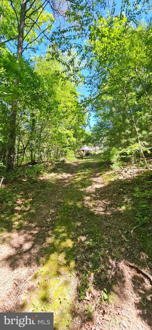 148 Arklow Drive photo 82