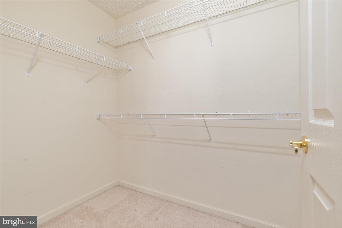 203 Cranberry Court photo 19