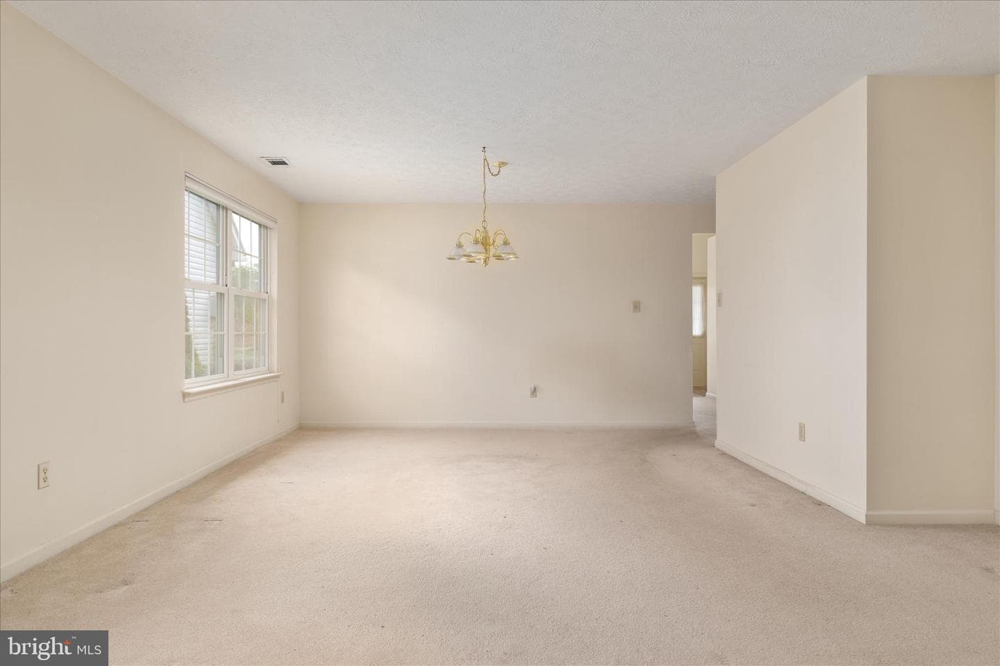 203 Cranberry Court photo 8