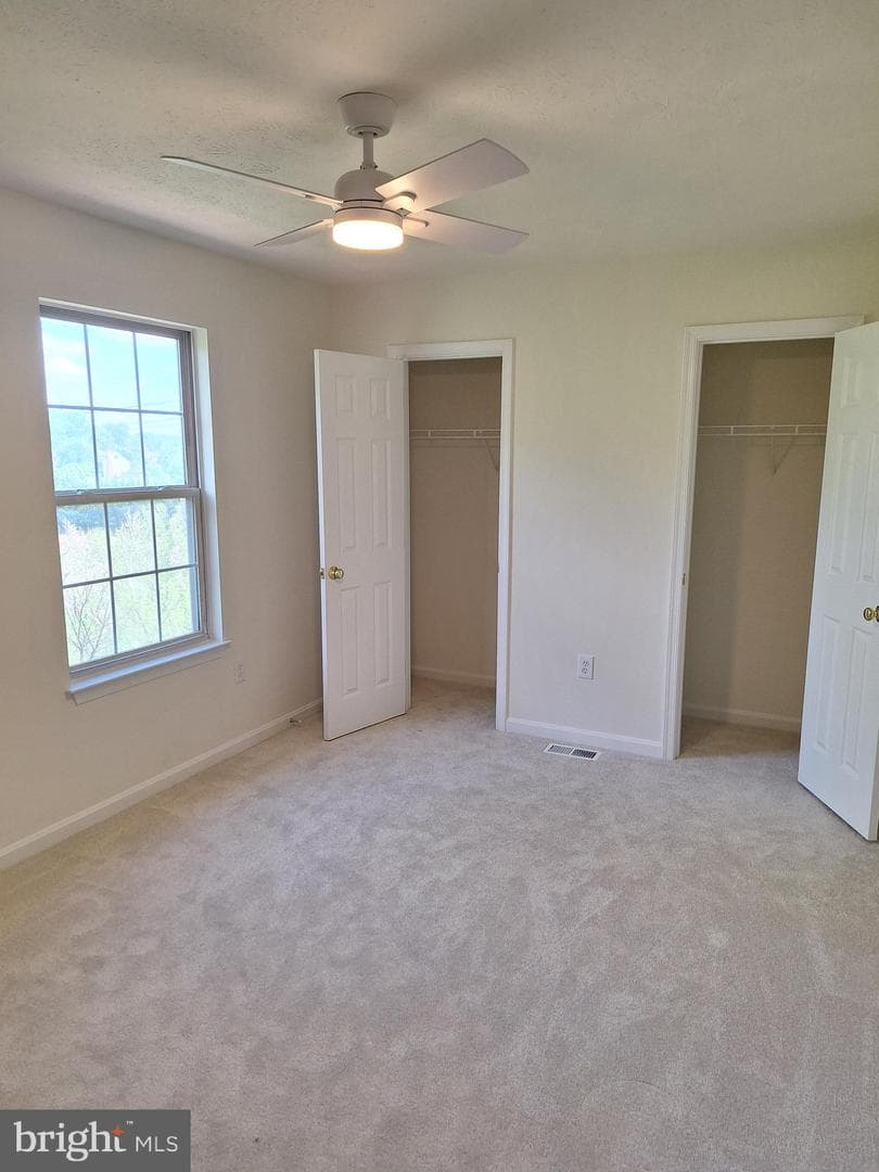 515 Emily Lane photo 16