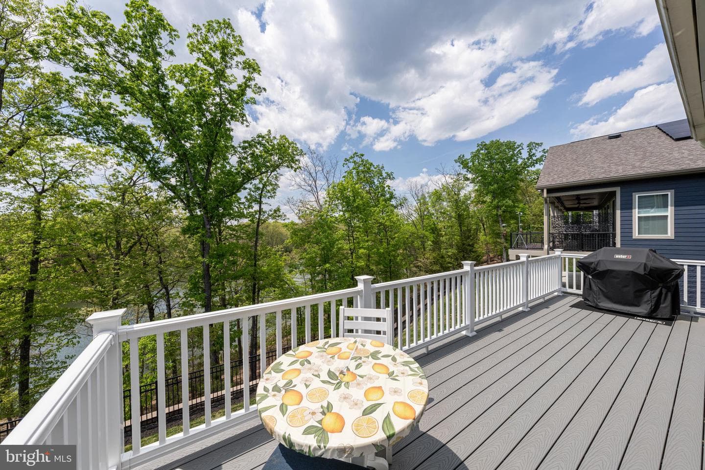 124 Yellow Birch photo 48
