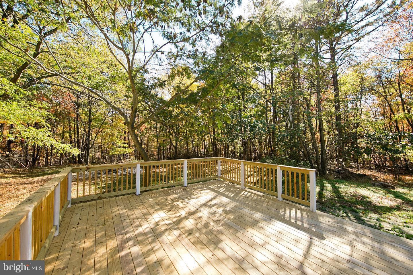 335 Whipporwill Lane photo 16