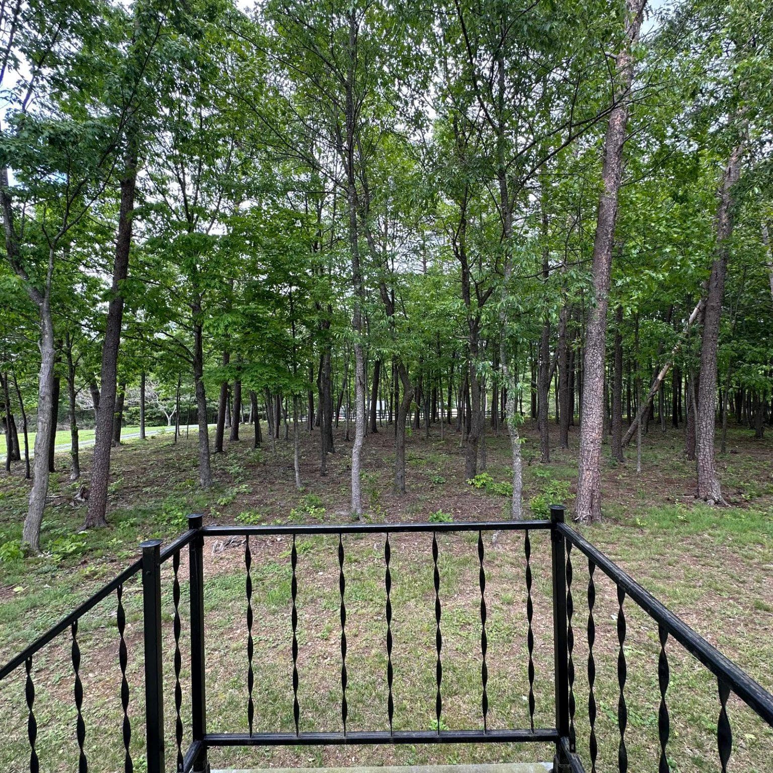 335 Whipporwill Lane photo 17