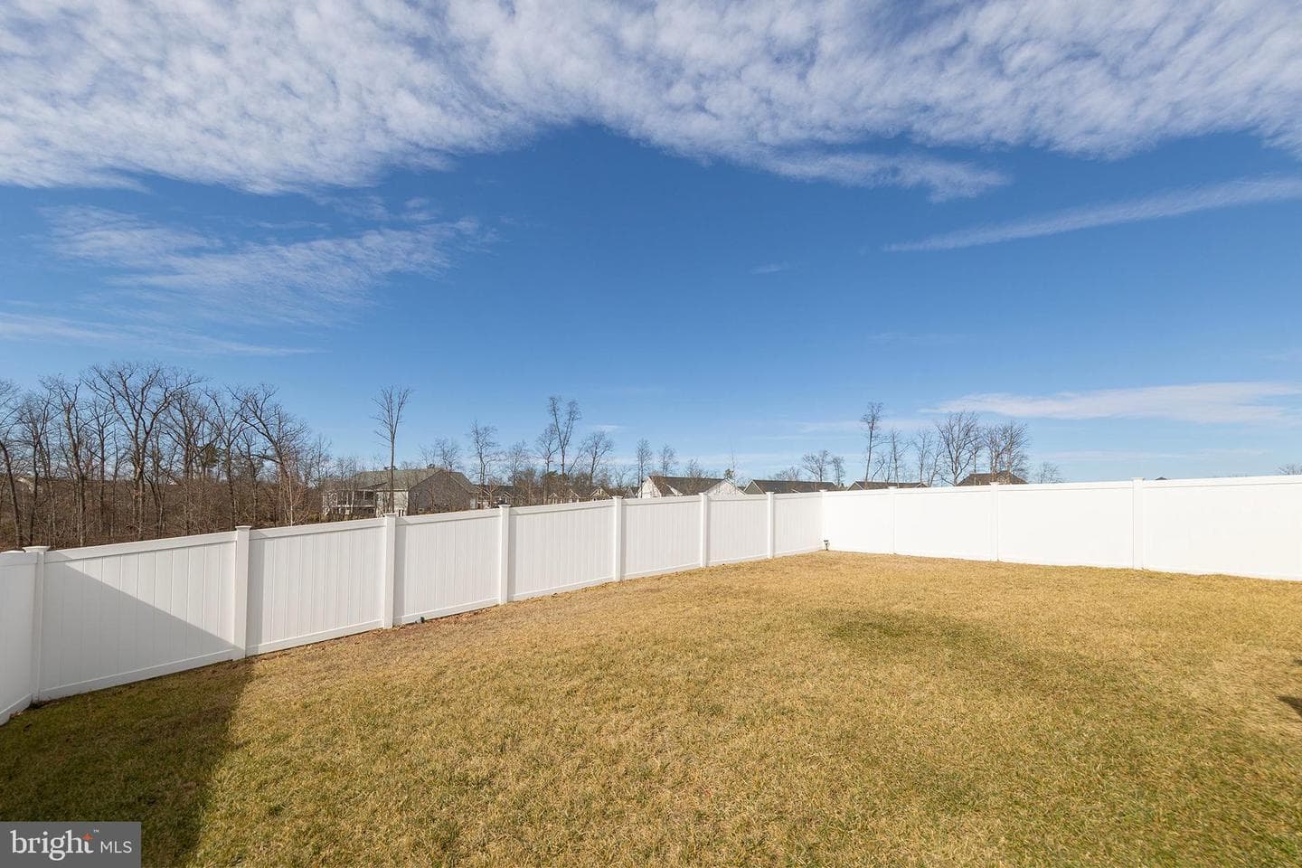 124 Lenore photo 40