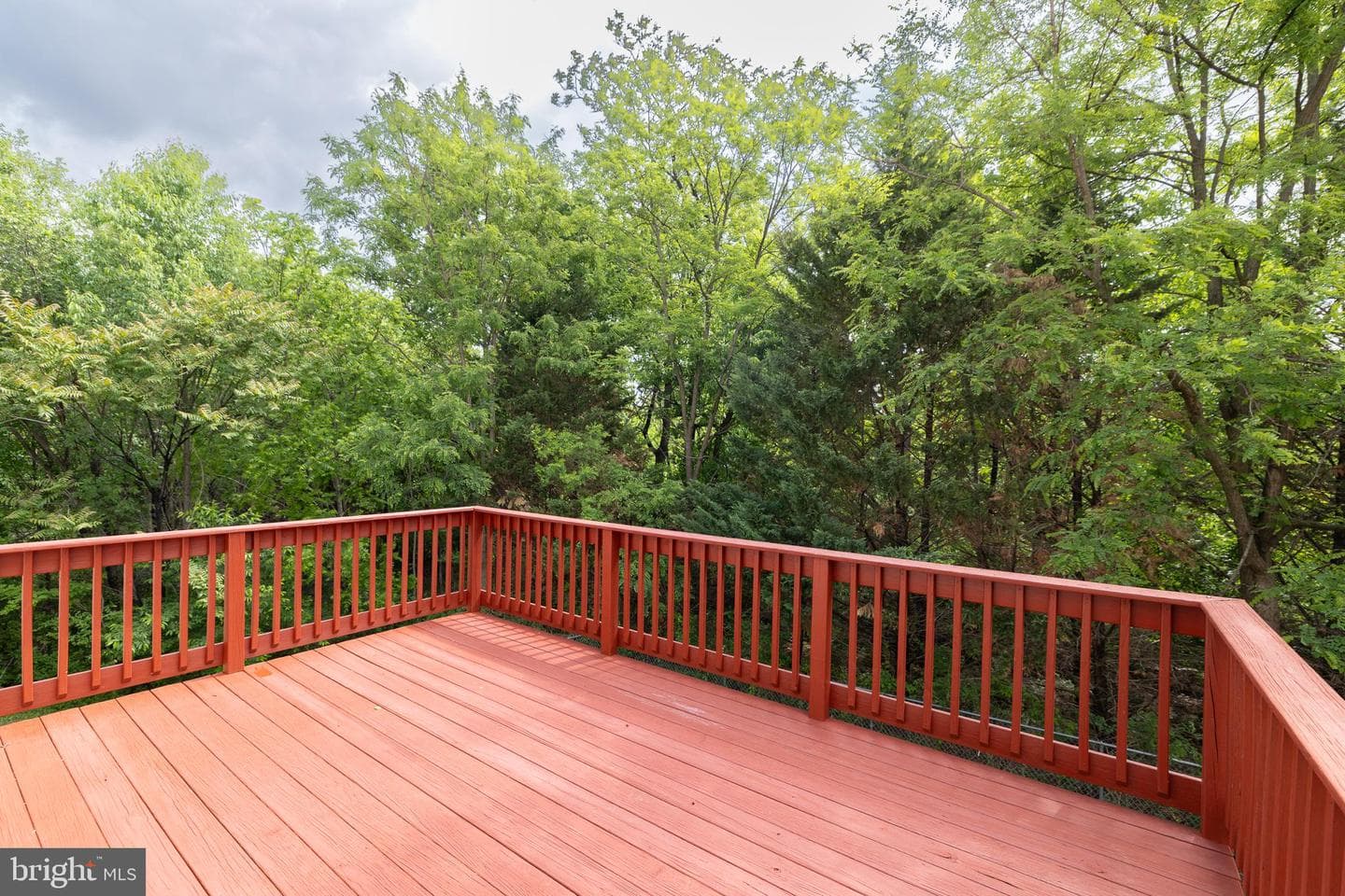 102 Blackpowder Court photo 51