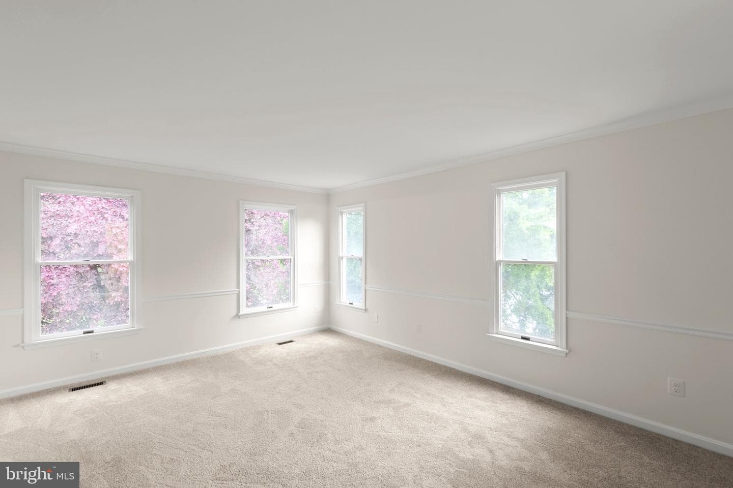 106 Etnam Street photo 11