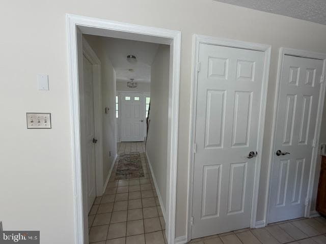 104 Kapok Circle photo 41