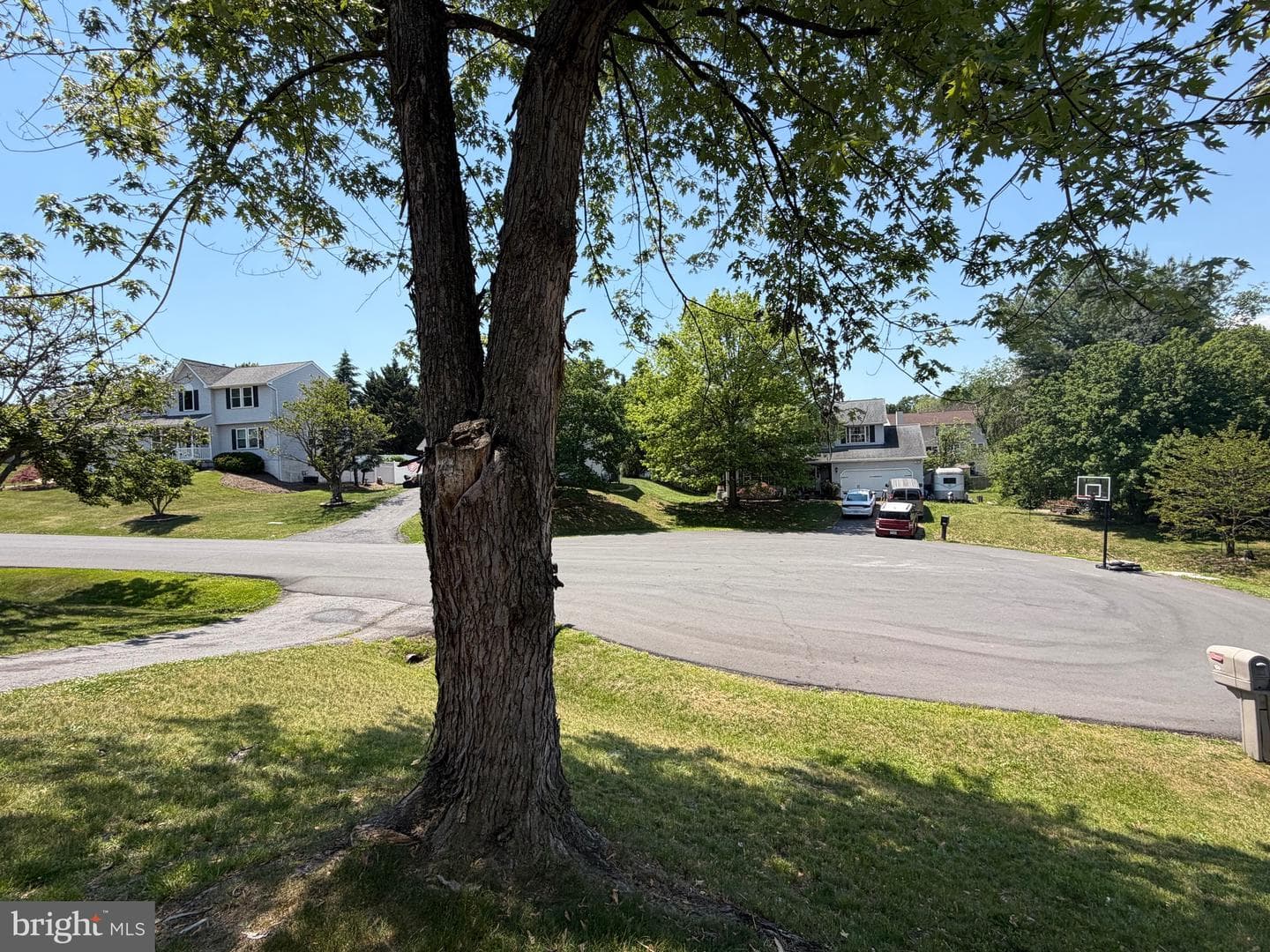 104 Kapok Circle photo 6