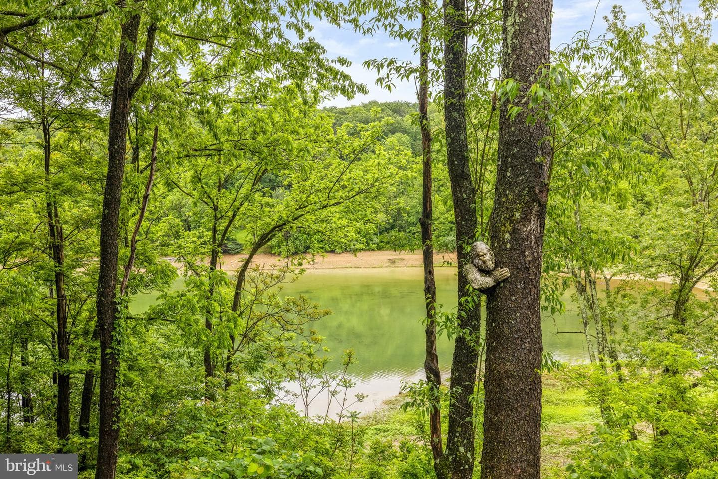 121 Cherokee Trail photo 54