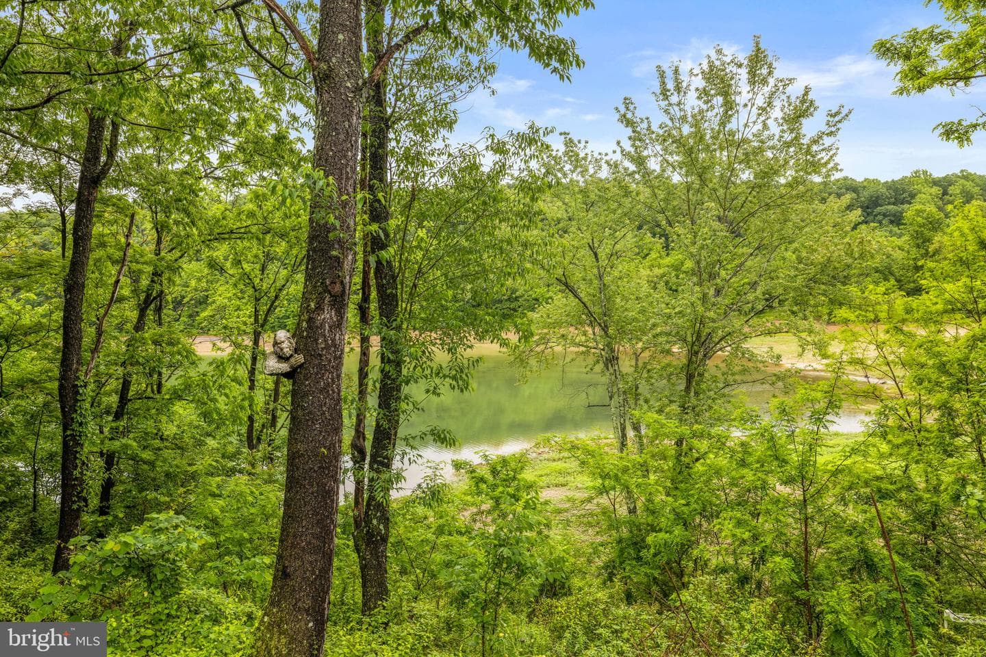 121 Cherokee Trail photo 55