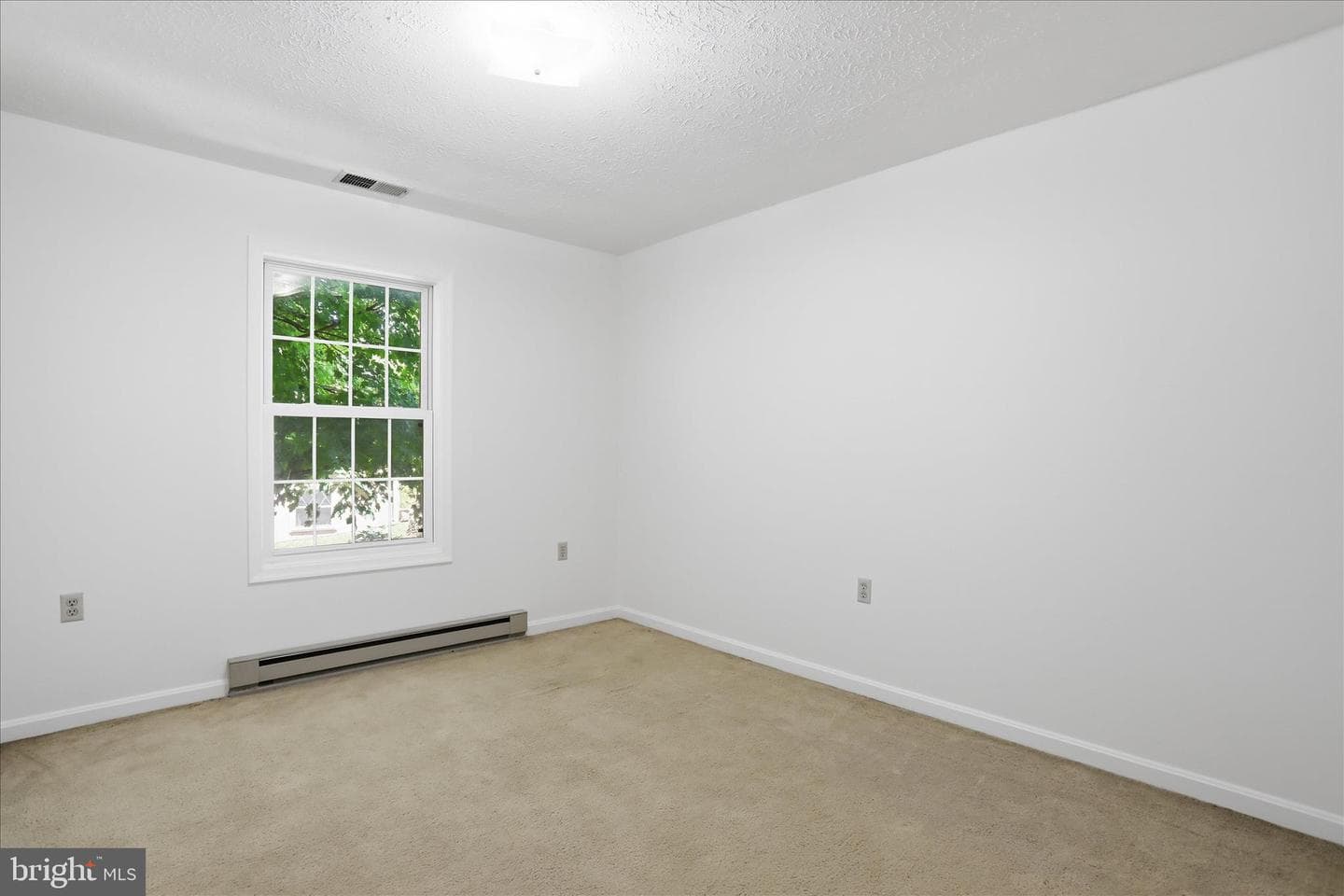 113 Bluebird Drive photo 19