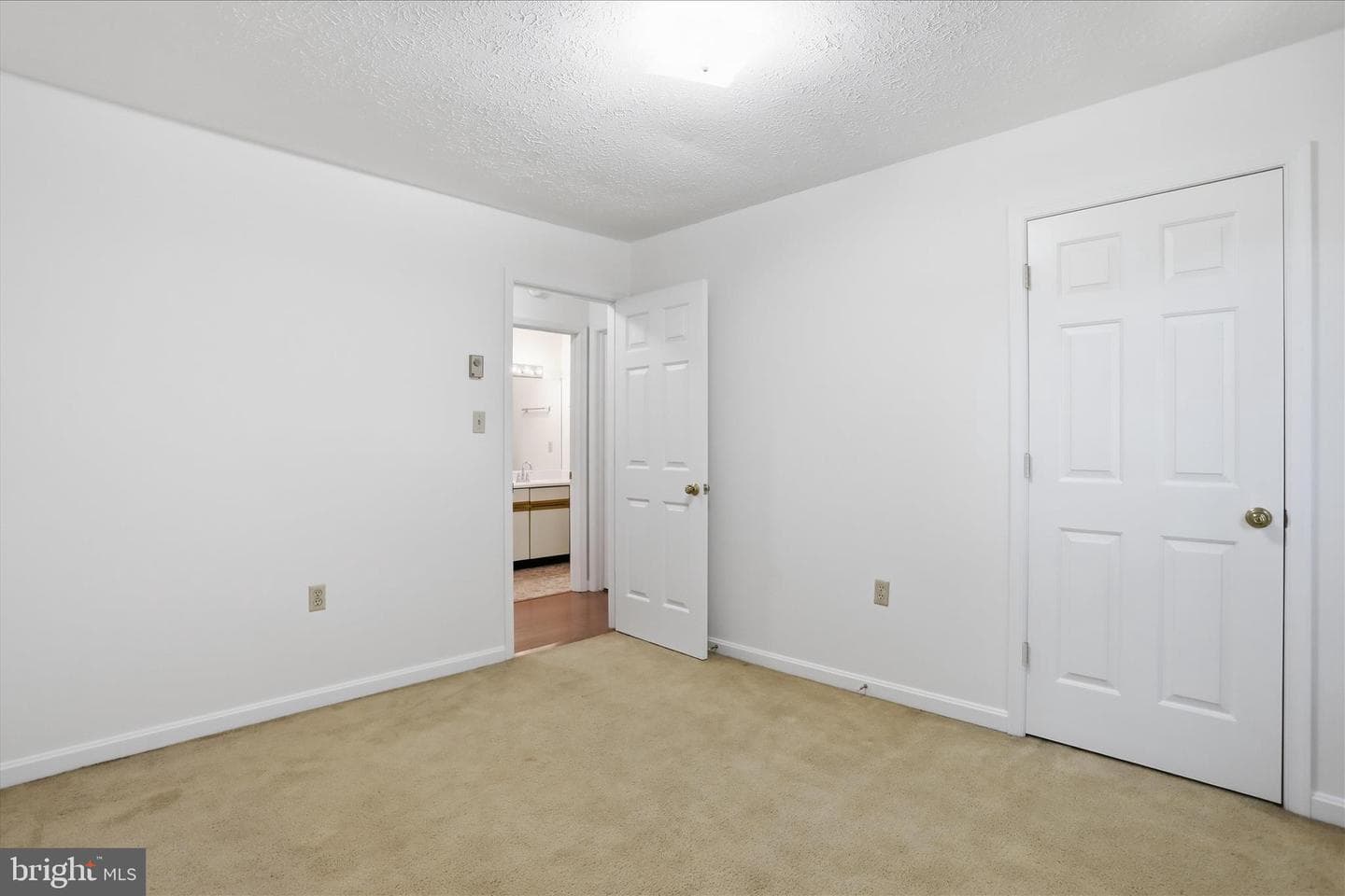 113 Bluebird Drive photo 20