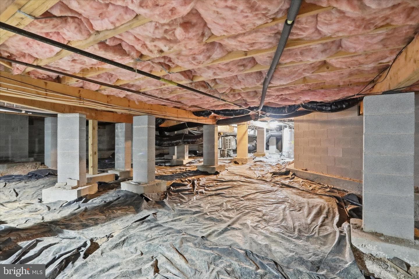 300 Tavistock Drive photo 58