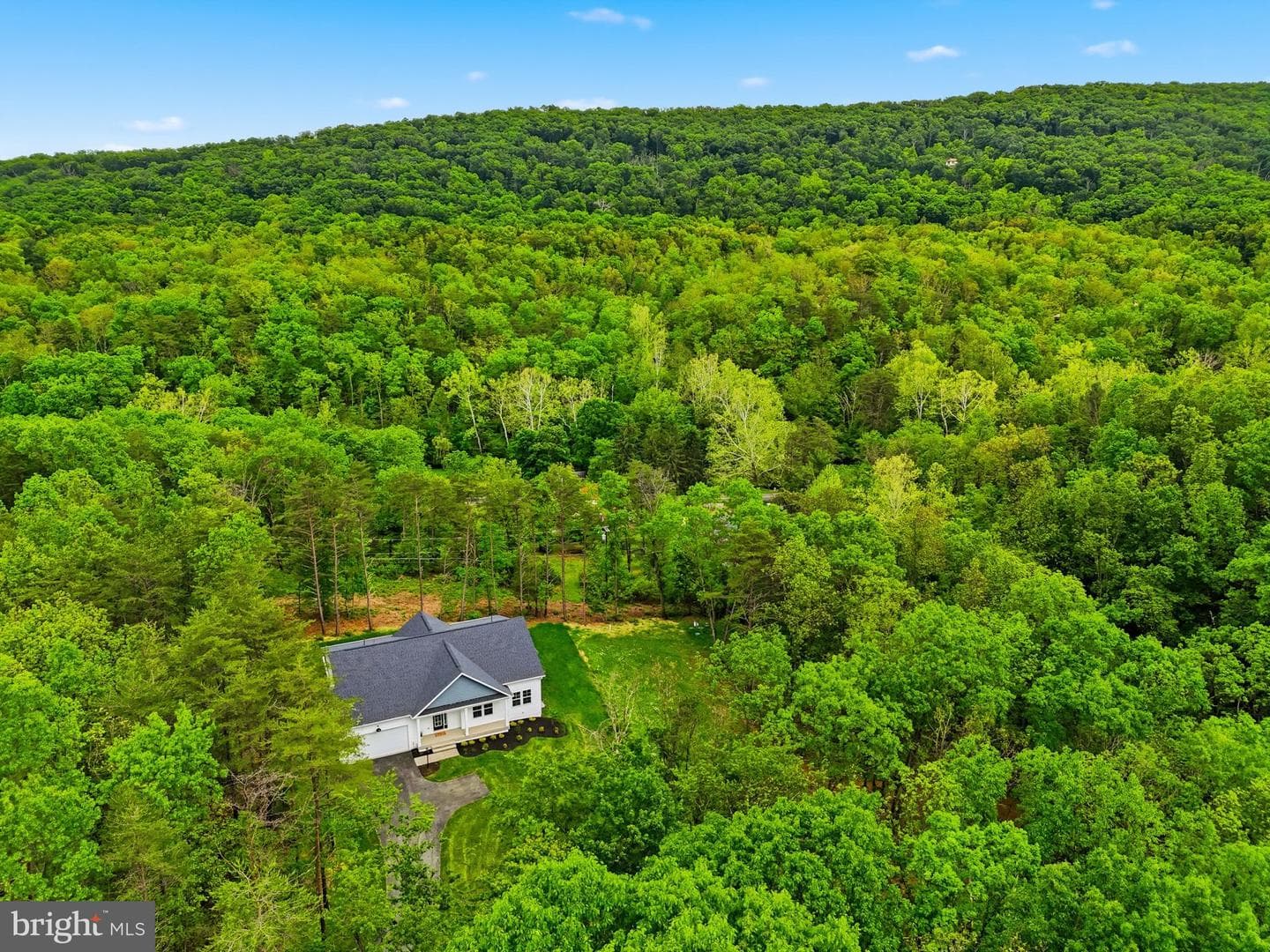 230 Tranquil Wood Lane photo 6