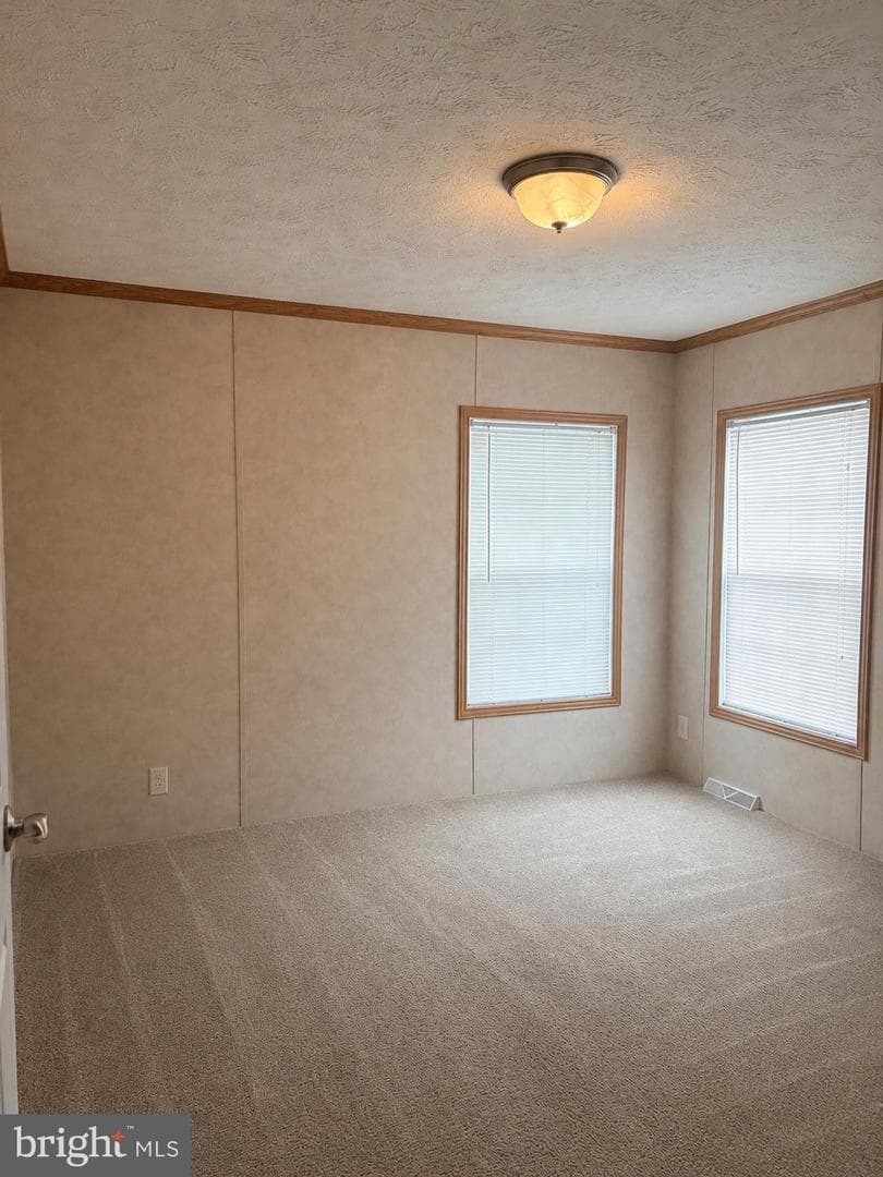 105 Chamberlain Court photo 14