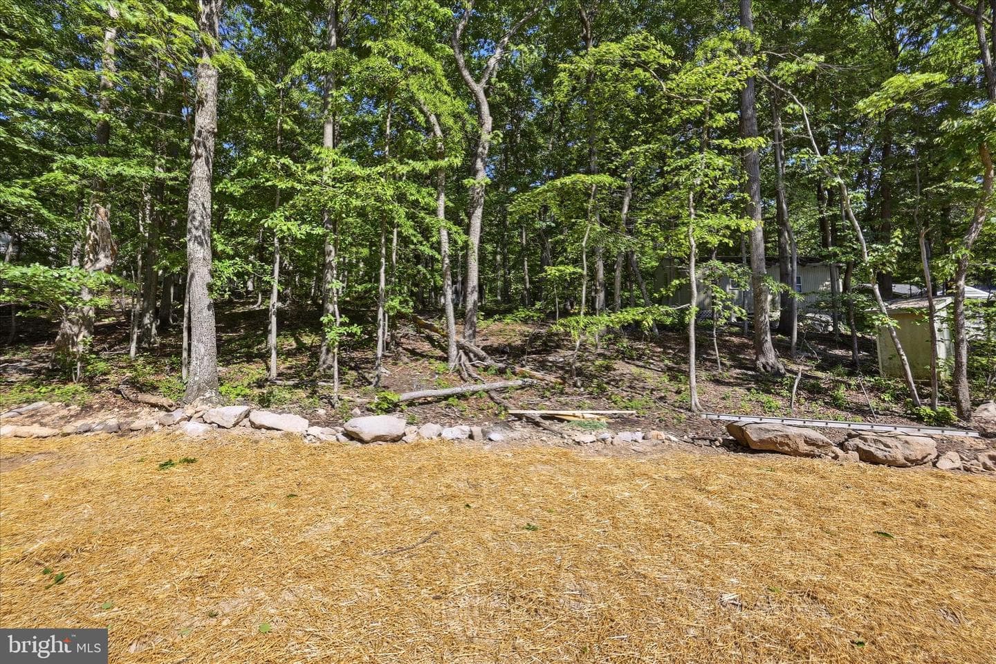 805 Pheasant Drive photo 46
