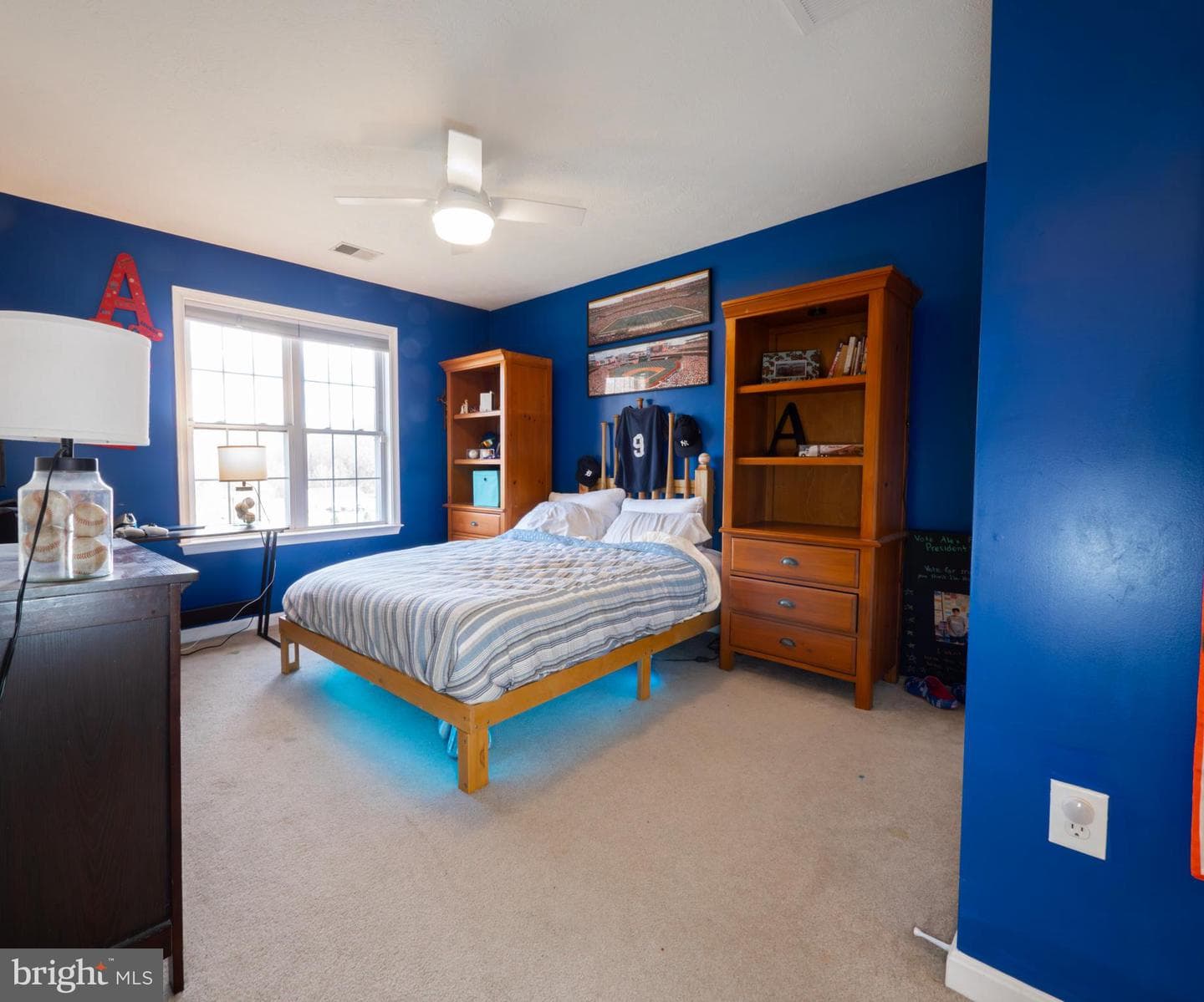 161 Skylar Lanes Way photo 39