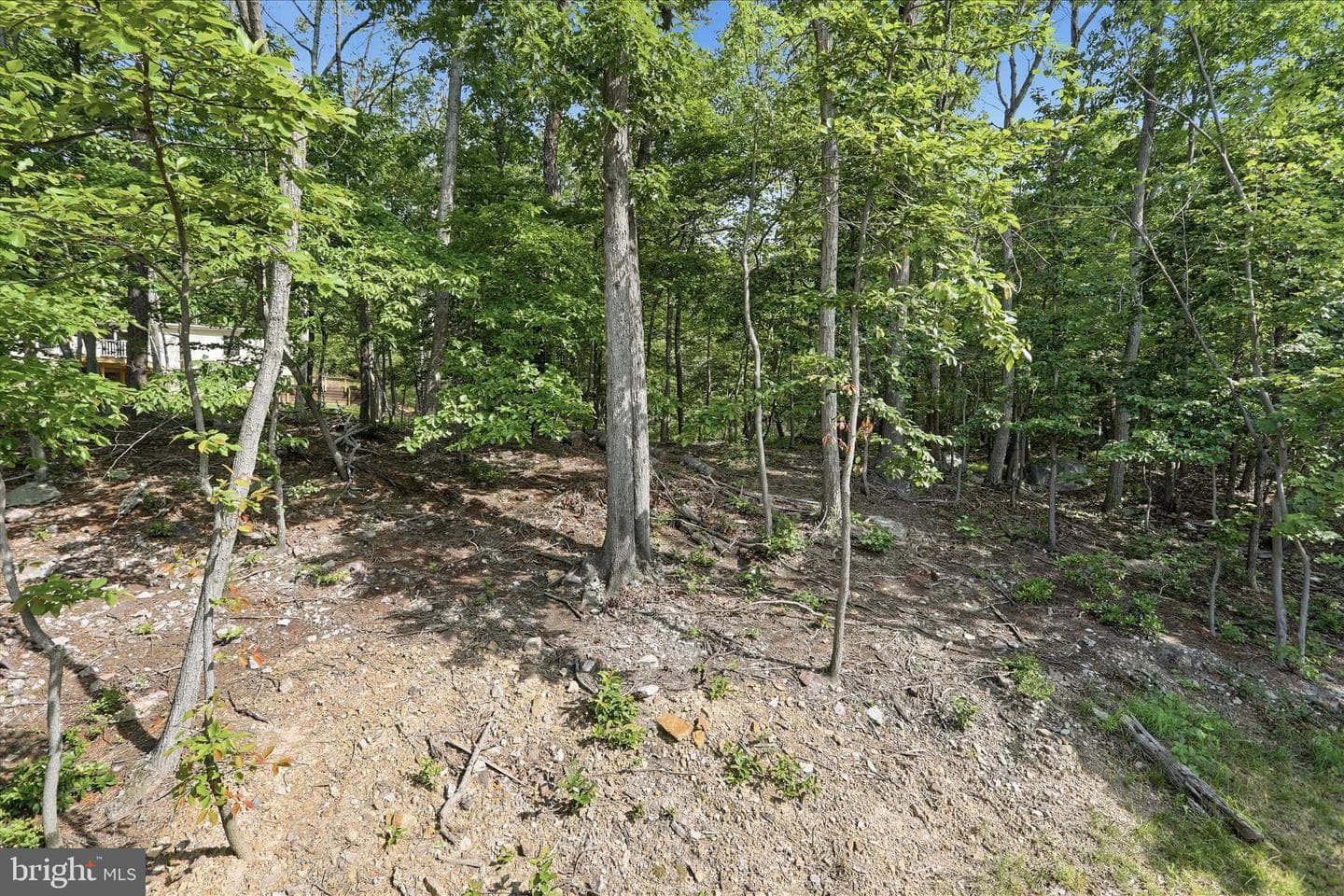 300 Elk Trail photo 39