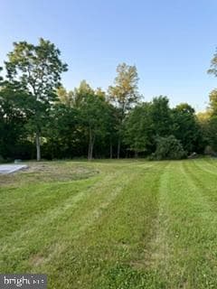 437 Shady Creek Road photo 19