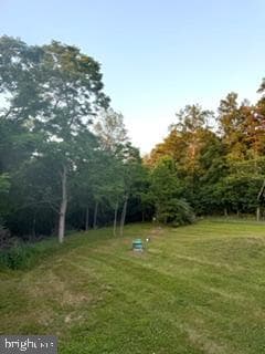 437 Shady Creek Road photo 36
