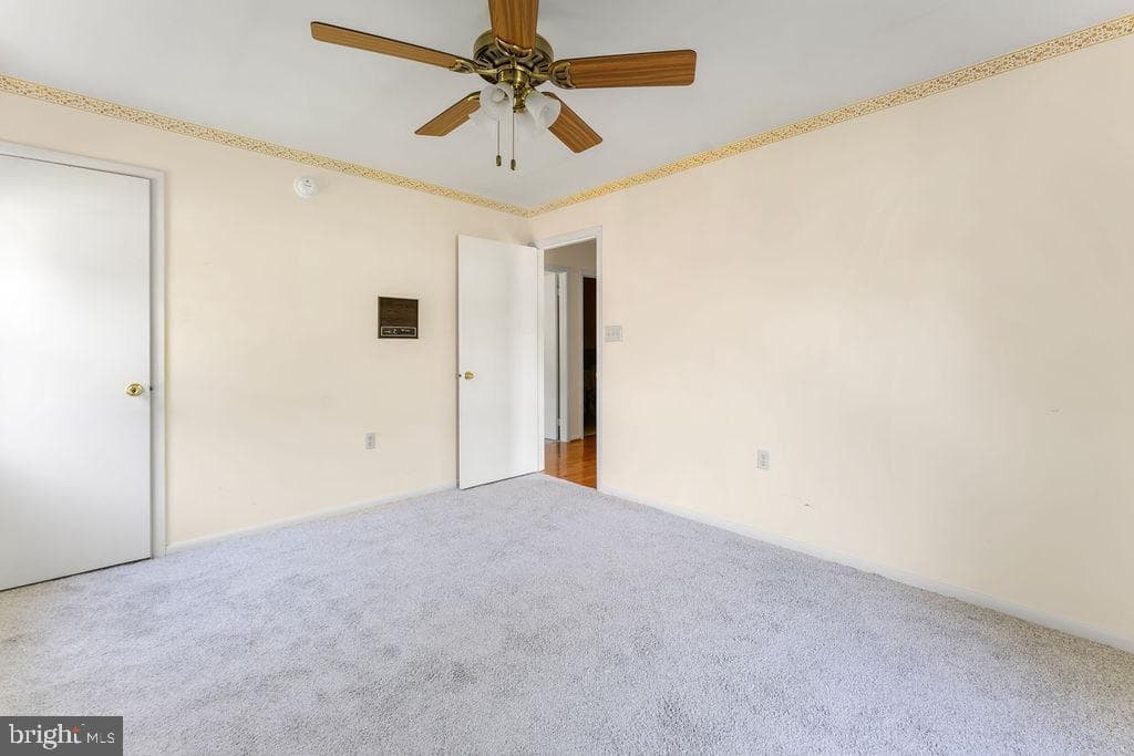 114 Williamson Road photo 19