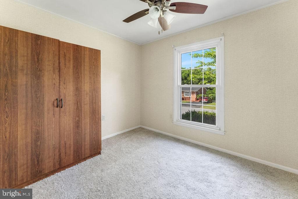 114 Williamson Road photo 20